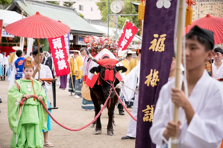 福梅講の旗とともに参進する天神祭の牛曳童児