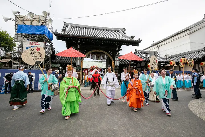天神祭の陸渡御で多くの参拝者に見守られながら進む牛曳童児